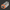 Gray and orange electrical connector on a white background