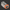 Gray and orange electrical connector on a white background
