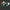 Four-button joystick module with red, yellow, green, and blue buttons on a black background