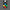 Button module with four colored buttons on a black background, branded with ACEBOTT.